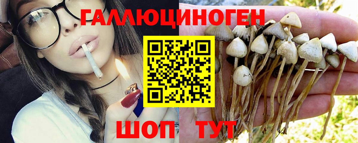Галлюциногенные грибы GOLDEN TEACHER Елизово