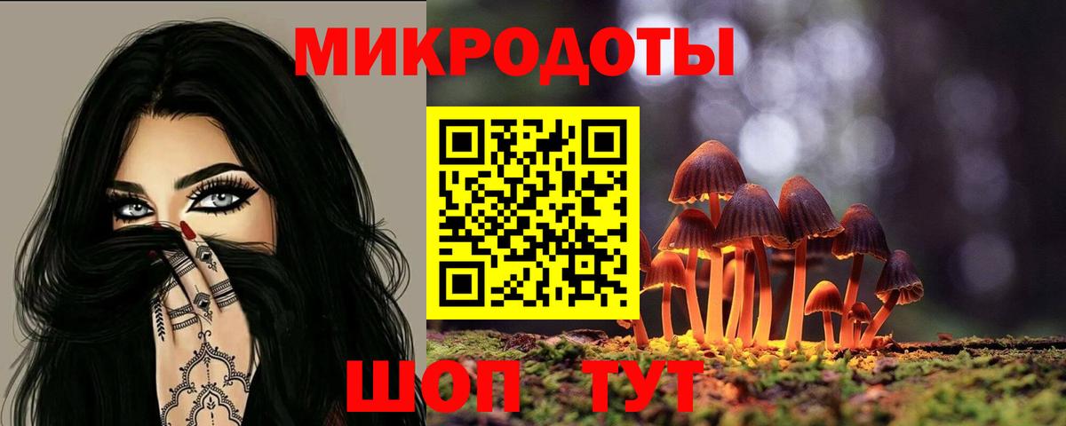 Елизово  Псилоцибиновые грибы Psilocybine cubensis  Псилоцибиновые грибы мицелий  наркошоп  Вход с VPN 